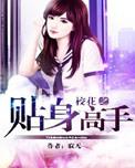 校花之贴身高手剧情介绍