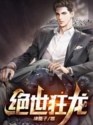 绝世狂龙续集免费阅读
