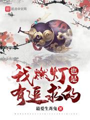 我燃灯也是有追求的 无弹窗