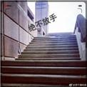 绝不放手主演还演什么剧