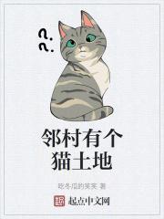 邻村有个猫土地境界