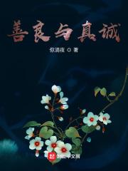 善良与真诚 三生万物 宁高宁