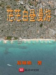 茫茫白昼漫游全文阅读