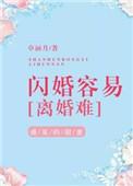 闪婚容易离婚难by小舟免费阅读