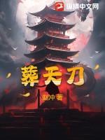 葬天刀境界