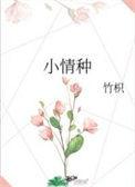 小情种歌曲