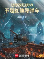 红旗h9外观改装