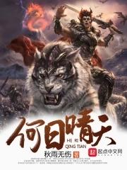 何日啥意思