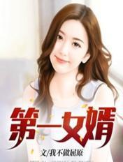 第一女婿无弹窗
