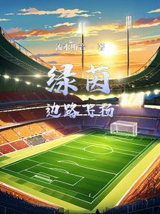 足球有系统