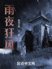 雨夜狂风音乐