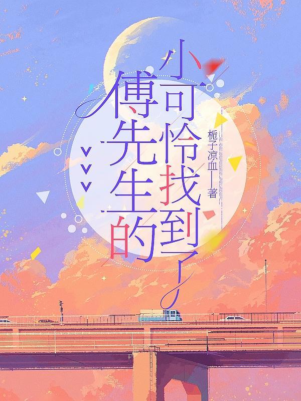 傅先生的少女在线阅读