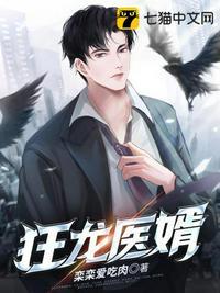 狂龙医婿免费阅读