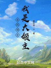 全民领主之最