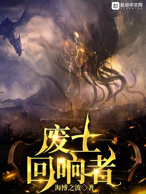 废土回响者评价