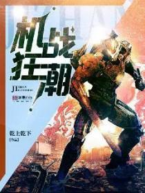 机战狂潮从教练机开始无限进化