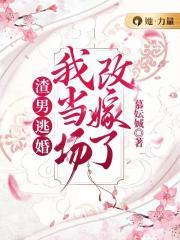 王妃要改嫁免费阅读