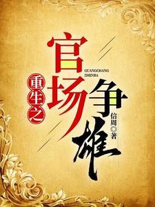 官场之重生系列