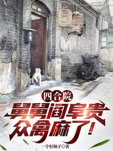 四合院我是闫解成
