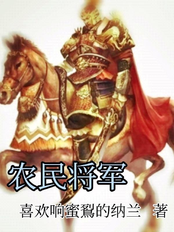 老农民将军
