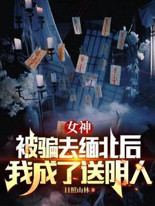 女神被骗去缅北后我成了送阴人男主