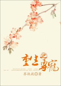 重生之专宠讲的什么
