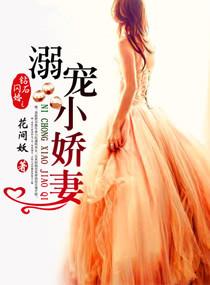 钻石闪婚之溺宠小娇妻说免费阅读
